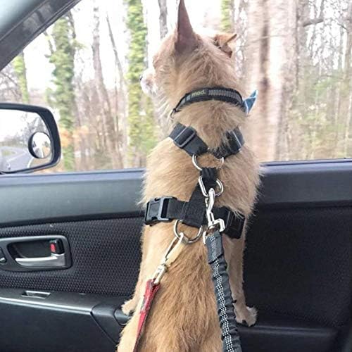 חגורת בטיחות כלבים, חגורת בטיחות לרכב לכלבים עם חיץ באנג'י אלסטי | אביזרי נסיעות לרכב לכלבים מתכווננים,